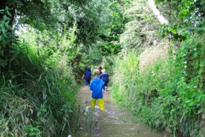 Unsere Teich- und Bachforscher